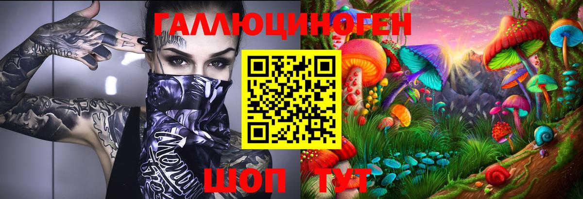 Карасук  Псилоцибиновые грибы GOLDEN TEACHER  Вход с VPN 